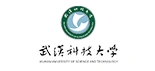 武汉科技大学 武汉科技大学